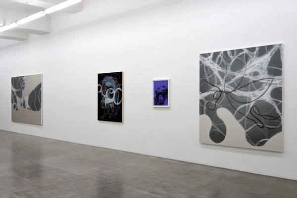 Hanspeter Hofmann - Lucy (Installation Shot 4)