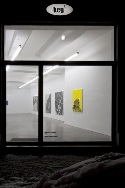 Hanspeter Hofmann - Lucy (Installation Shot 5)
