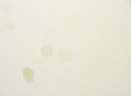 Untitled, 2008, acrylic on linen, 105 × 145 cm