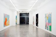 Hanspeter Hofmann, Installation Shot, Kerstin Engholm gallery, 2002