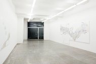 Hanspeter Hofmann, Schneeblind, Installation Shot, Kerstin Engholm gallery, 2008