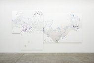 Hanspeter Hofmann, Schneeblind, Installation Shot, Kerstin Engholm gallery, 2008