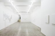 Hanspeter Hofmann, Schneeblind, Installation Shot, Kerstin Engholm gallery, 2008