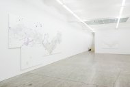 Hanspeter Hofmann, Schneeblind, Installation Shot, Kerstin Engholm gallery, 2008