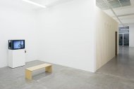 Yael Bartana, Summer Camp, Installation Shot, Kerstin Engholm gallery, 2008