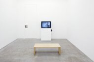 Yael Bartana, Summer Camp, Installation Shot, Kerstin Engholm gallery, 2008