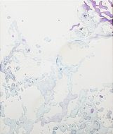 Untitled, 2008, acrylic on linen, 60 × 50 cm