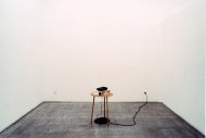 A Country Lane, Sam Durant, Tobias Hauser, Richard Hoeck, John Miller, Installationshot, Kerstin Engholm Galerie, 2003
