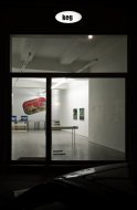 Constanze Ruhm, My_Never_Ending_Burial_Plot, Installation Shot, Kerstin Engholm gallery, 2010
