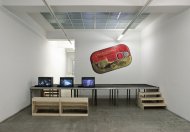 Constanze Ruhm, My_Never_Ending_Burial_Plot, Installation Shot, Kerstin Engholm gallery, 2010
