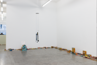 Installation Shot Cartoon Physics, Foto: Stefan Lux  