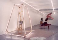 Aua Extrema II, Björn Dahlem, Installation Shot, Kerstin Engholm gallery, 2002
