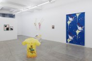 Installation Shot, Was die Wange röthet, kann nicht übel seyn, 2015, Kerstin Engholm Galerie, Vienna