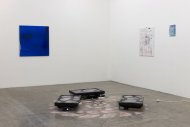 Installation Shot, Was die Wange röthet, kann nicht übel seyn, 2015, Kerstin Engholm Galerie, Vienna