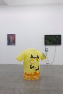 Installation Shot, Was die Wange röthet, kann nicht übel seyn, 2015, Kerstin Engholm Galerie, Vienna