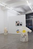 Installation Shot, Was die Wange röthet, kann nicht übel seyn, 2015, Kerstin Engholm Galerie, Vienna