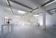 The Magic Mountain, Kunstraum Innsbruck, Innsbruck, 2010