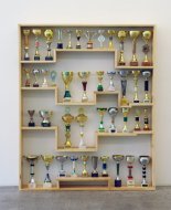 Untitled, 2013, wood, trophies,  193 x 152 x 21 cm