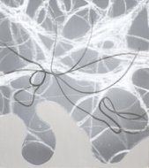 Untitled, 2010, oil, acrylic, c-print on canvas, 180 × 150 cm