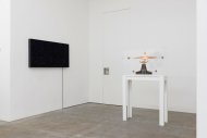 Installation Shot, L'air du temps, 2016, Kerstin Engholm Galerie, Vienna