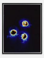 Jeremy Shaw, (Yopo - Anadenthera Peregrina), 2013, Kirlian Polaroid enlargement, framed, 124,7 x 96,7 cm, Original.
