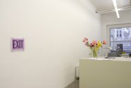Beginnings, Middles and Ends, curated by Gianni Jetzer, Installation Shot, Kerstin Engholm gallery, 2009