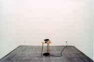 A Country Lane, Sam Durant, Tobias Hauser, Richard Hoeck, John Miller, Installationshot, Kerstin Engholm Galerie, 2003
