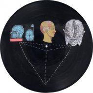 Aua Extrema 2 (Das Gehirn) (Aua Extrema 2 [The brain]), 2002, collage on vinyl, Ø 30 cm