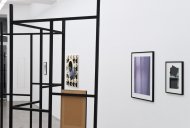 Marita Fraser, 2012, Installation Shot, Kerstin Engholm Galerie, Wien 