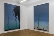 curated_by John Peter Nilsson, Installation Shot, Kerstin Engholm Galerie, 2013 