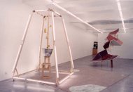 Aua Extrema II, Björn Dahlem, Installation Shot, Kerstin Engholm gallery, 2002
