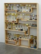 Untitled, 2013, wood, trophies,  193 x 152 x 21 cm