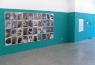 Anna Jermolaewa, Installation Shot, Kerstin Engholm Galerie, 2013 